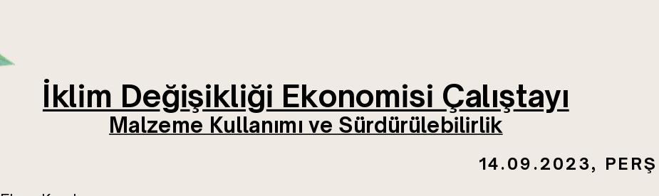 "İklim Değişikliği Ekonomisi Çalıştayı" programı belli oldu.